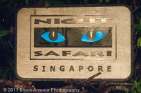 Nighr Safari Singapore