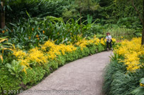 National Orchid Garden