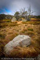 Mount Buffalo