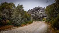 Mount Buffalo