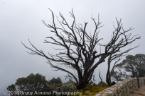 Mount Buffalo