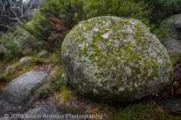 Mount Buffalo