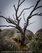 Mount Buffalo