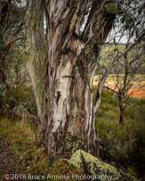 Mount Buffalo