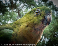 Murramarang National Park