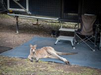 Murramarang National Park