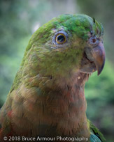 Murramarang National Park