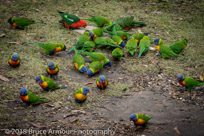 Murramarang National Park