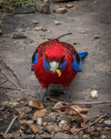 Murramarang National Park