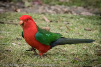 Murramarang National Park