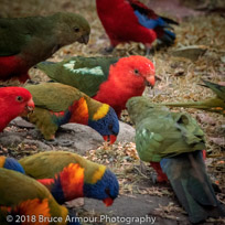 Murramarang National Park