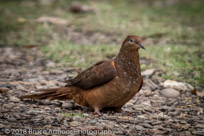 Murramarang National Park