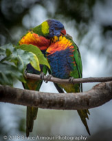 Murramarang National Park