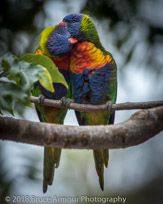 Murramarang National Park