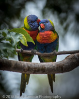 Murramarang National Park