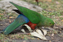 Murramarang National Park