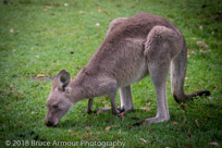 Murramarang National Park