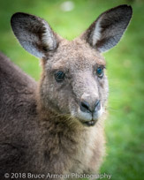 Murramarang National Park