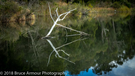 Boonoo Boonoo National Park, QLD, Tenterfield