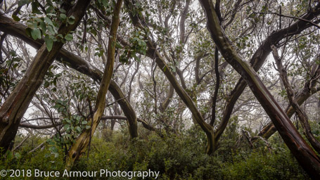 Mount Buffalo