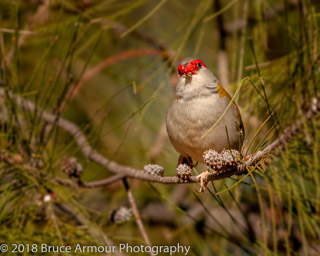 1/800 sec at f/6.3, ISO 720, 400 mm (80-400 mm f/4.5-5.6) Lens