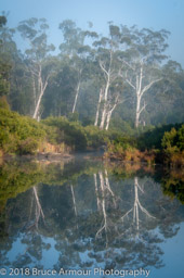 Boonoo Boonoo National Park, QLD, Tenterfield