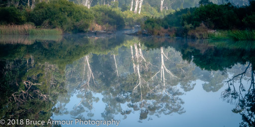 Boonoo Boonoo National Park, QLD, Tenterfield