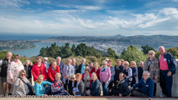 View overlooking Dunedin