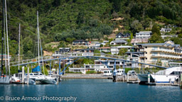 Picton Harbour