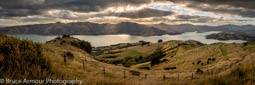 Akaroa Harbour, NZ