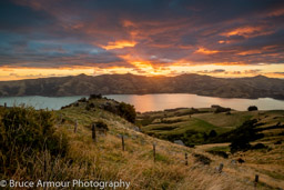 Akaroa Harbour, NZ