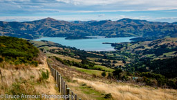 Overlooking Akaroa Harbour, NZ