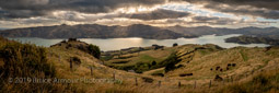 April 06, 2019 - Akaroa Harbour, NZ