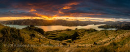 April 06, 2019 - Akaroa Harbour, NZ