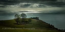 April 09, 2019 - Akaroa Peninsula, NZ