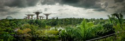 January 19, 2019 - Singapore Gardens By The Bay