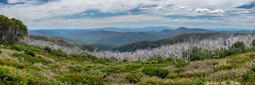 February 17, 2019 - View from Clear Hills Track, Mount Stirling